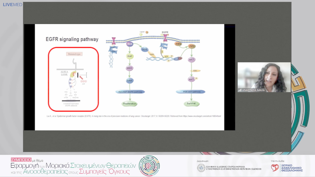 03 Α. Μαλά - Στοχεύοντας τις μεταλλάξεις του EGFR στον καρκίνο του πνεύμονα