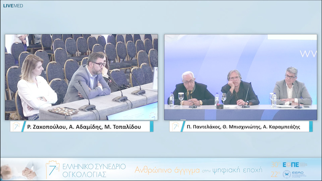 041 Α. Αδαμίδης, Μ. Τοπαλίδου, Ρ. Ζακοπούλου - Σχολιασμός