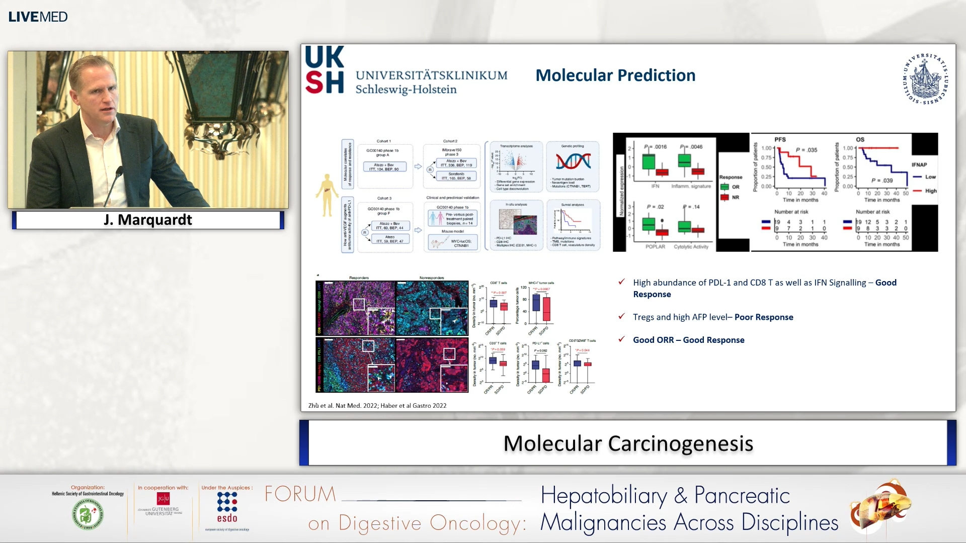 02 J. Marquardt  - Molecular Carcinogenesis